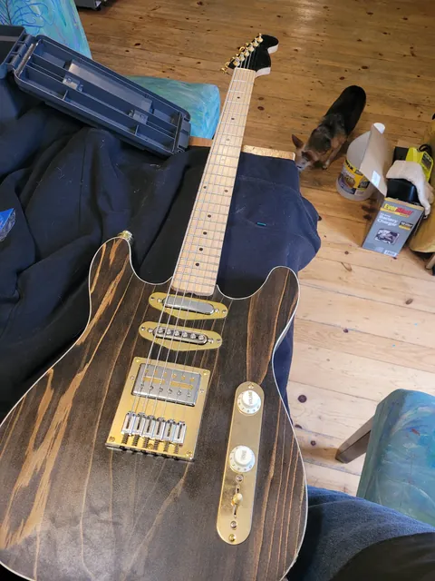 A Tele-style guitar in dark-stained wood with gold hardware, a maple neck and three pickups, lying across a lap with a small dog watching from the wood floor.
